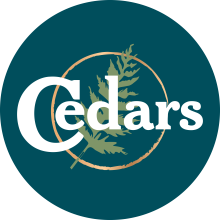 Sponsor logo